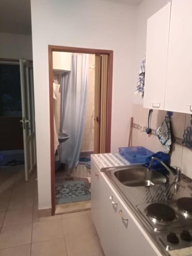 Apartmani Kunjasic Trstenik  Eksteriør billede