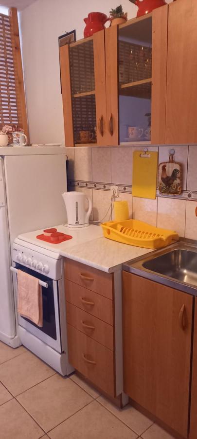 Apartmani Kunjasic Trstenik  Eksteriør billede