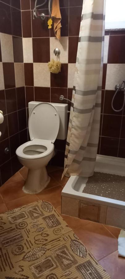 Apartmani Kunjasic Trstenik  Eksteriør billede
